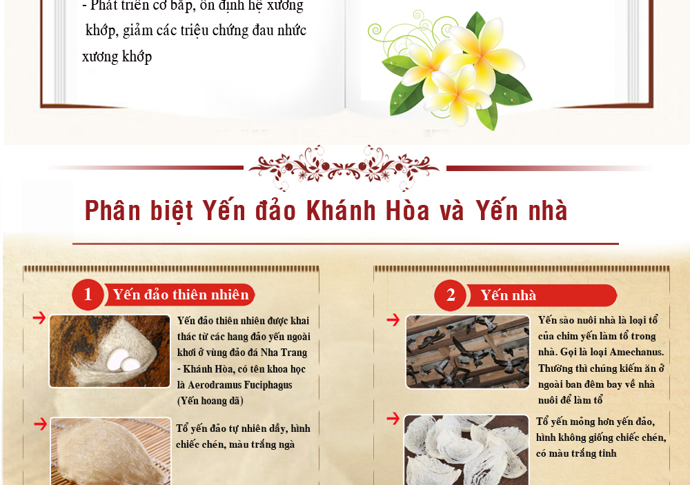 yen trang khanh hoa